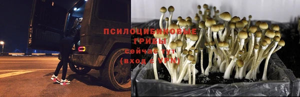 spice Алексеевка