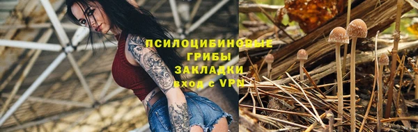 spice Алексеевка