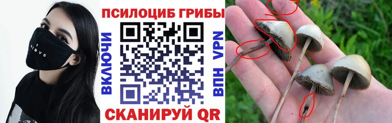 Псилоцибиновые грибы MAGIC MUSHROOMS  мега сайт  Осинники 