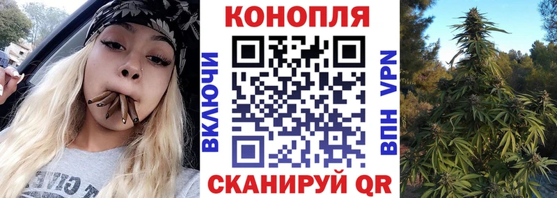 Конопля гибрид  Осинники 